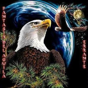 Meet your Posher, Tomas